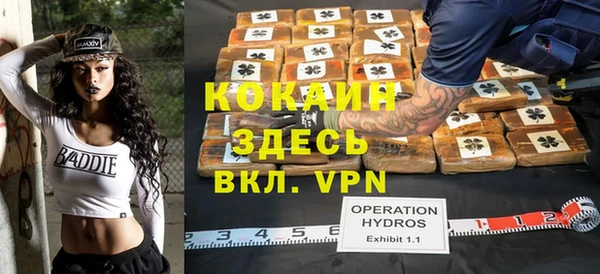ешки Алзамай