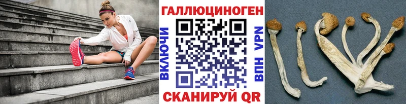 как найти   Красноуфимск  Псилоцибиновые грибы Cubensis 